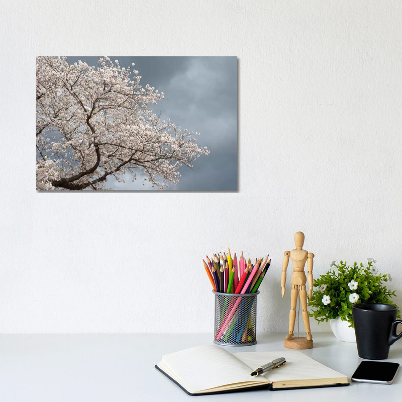 Low Angle View of Cherry Tree Blossom Against Cloudy Sky, Kitakami, Iwate Prefecture, Japan 1 Piece Wrapped Canvas Wall Art