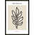 Black Framed Paper selected