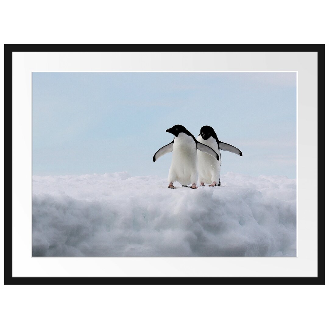 Gerahmter Fotodruck Adelie Penguins on an Ice Floe