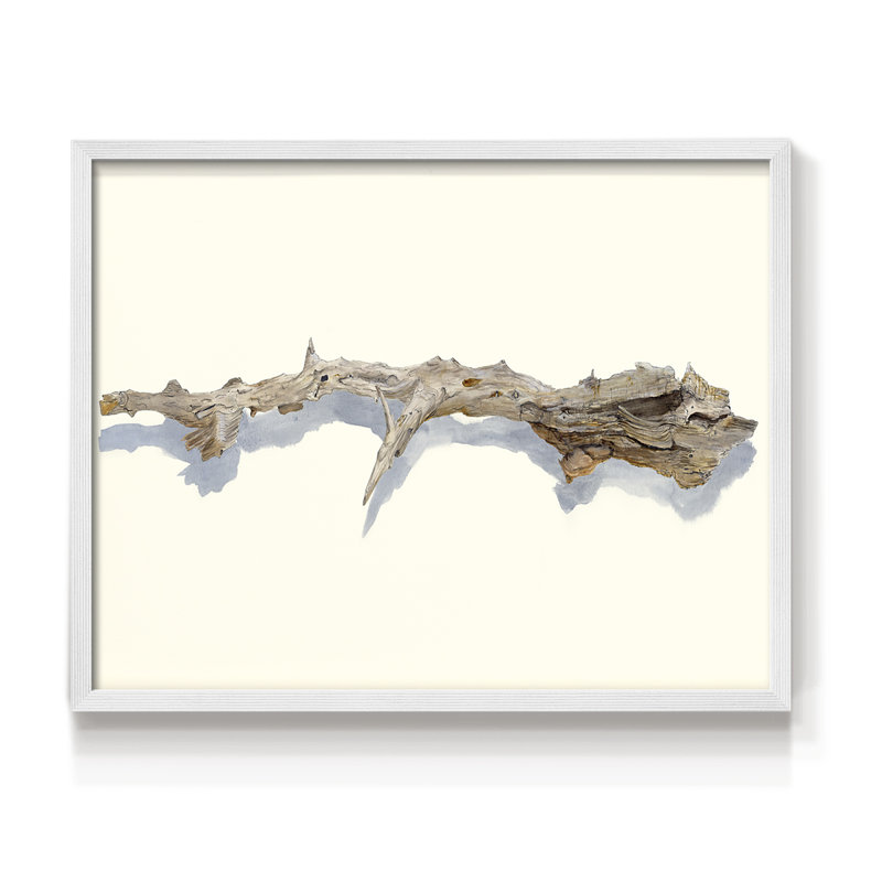 «Driftwood Study I», reproduction encadrée, H 22 po x l 28 po, Blanc