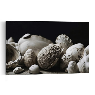 Shell Symphony Modern Organic Contemporary Coastal Wall Art Print 1 Piece Wrapped Canvas Wall Art