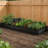Lafayette Rectangular Galvanized Metal Raised Garden Bed-33146296-12493484