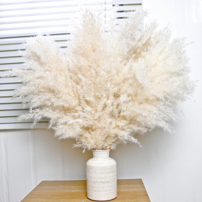 17'' Pampas Grass Grass, Cream