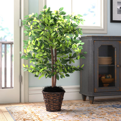 48'' Faux Ficus Tree in Wicker/Rattan Basket