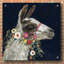 «Lovely Llama I» par Victoria Borges, art mural en verre acrylique-135109253