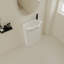 Meuble-lavabo autoportant de 23 po avec lavabo et portes à fermeture douce-501039329