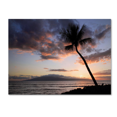 « palm tree maui » par pierre leclerc,, reproduction de photo sur toile tendue encadrée