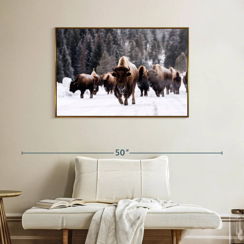 Bisons d'hiver, Cadre flottant doré, 40 po x 27 po