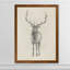 « elk study » par paul cezanne-photo-cadre, reproduction d’art-24364736-24364751