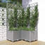 Chanique Raised Garden Bed with Trellis