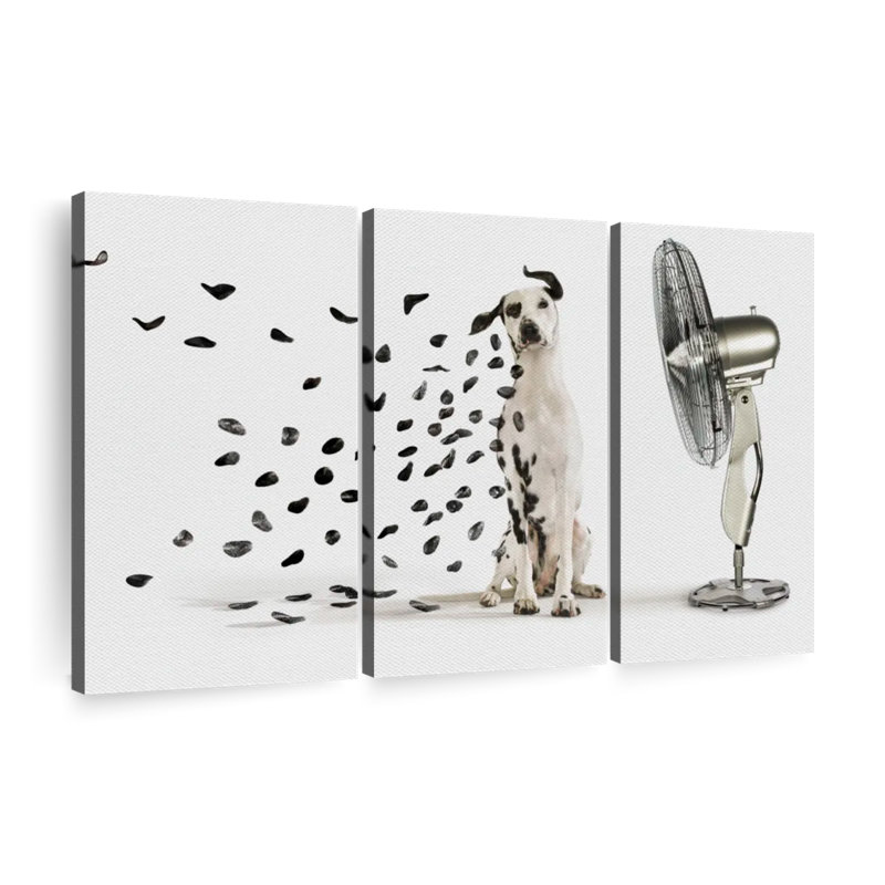 «Windblown Dalmatian Spots», reproduction d'art sur toile, H 48 po x l 74 po x P 1,25 po