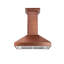 Hotte murale ZLINE Designer Series-122782067-21581840