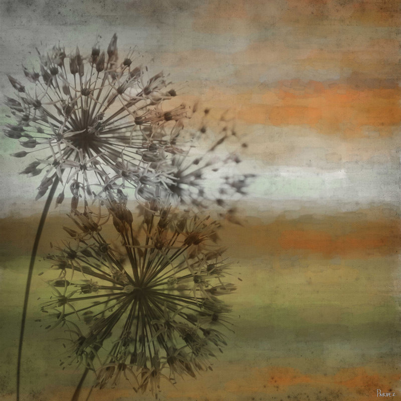 1 Piece Wrapped Canvas Wall Art, 81cm H x 81cm W