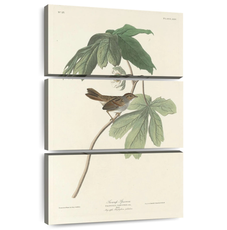 Brampt Swamp Sparrow, 38" H x 24" W