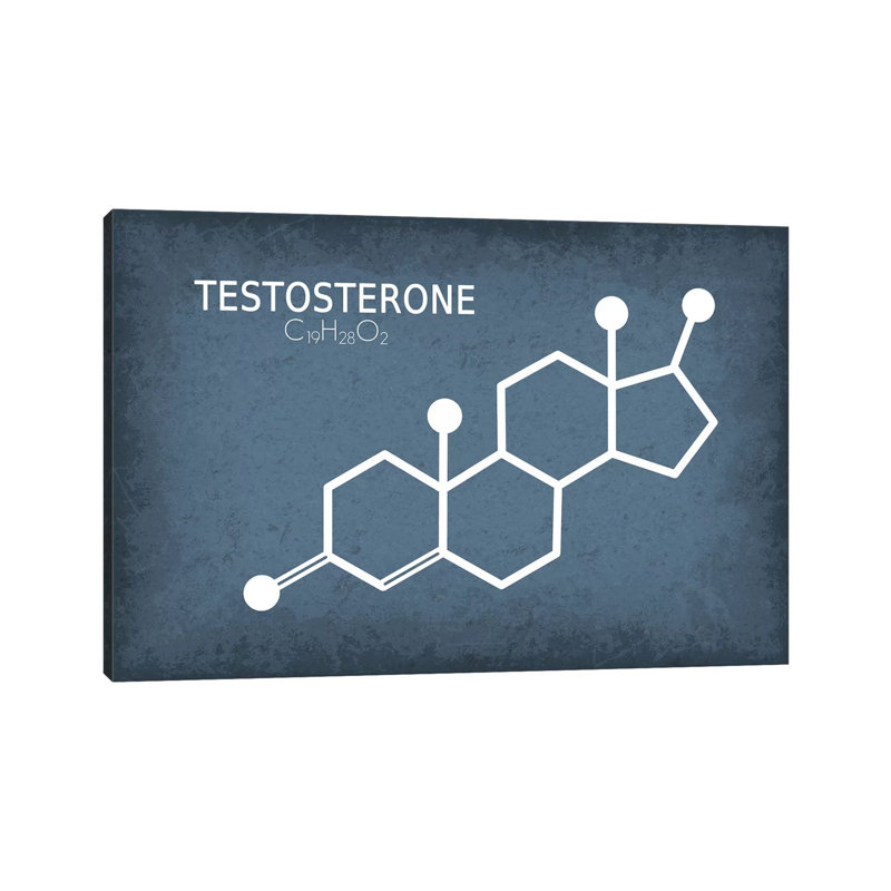 Testosterone Molecule by GetYourNerdOn - Wrapped Canvas Gallery-Wrapped Canvas Giclée, 152.5 cm H x 101.5 cm W
