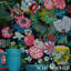 Chiang Mai Dragon Wallpaper-29547514