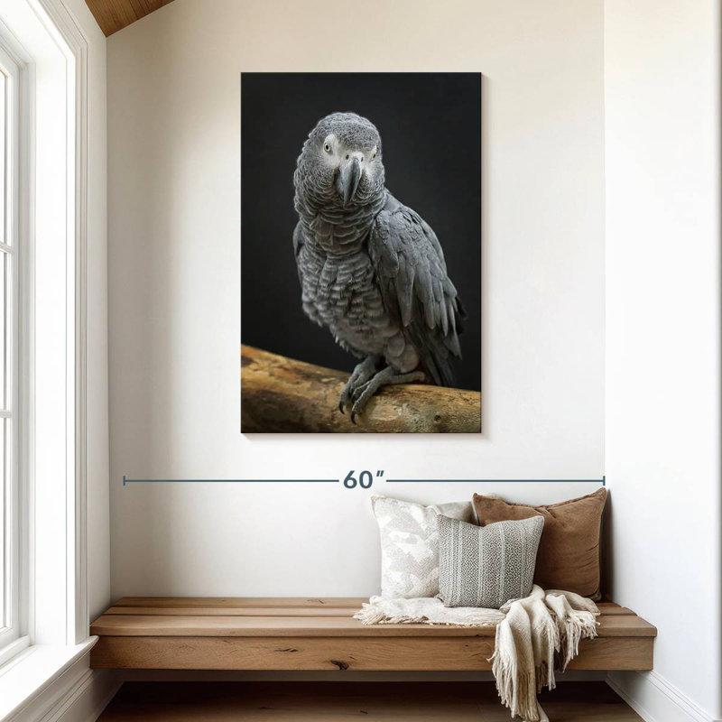 Brampt Congo Grey Parrot, 45" H x 30" W