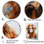 «Dog Irish Setter Impressions», reproduction sur toile-208536852-208536848