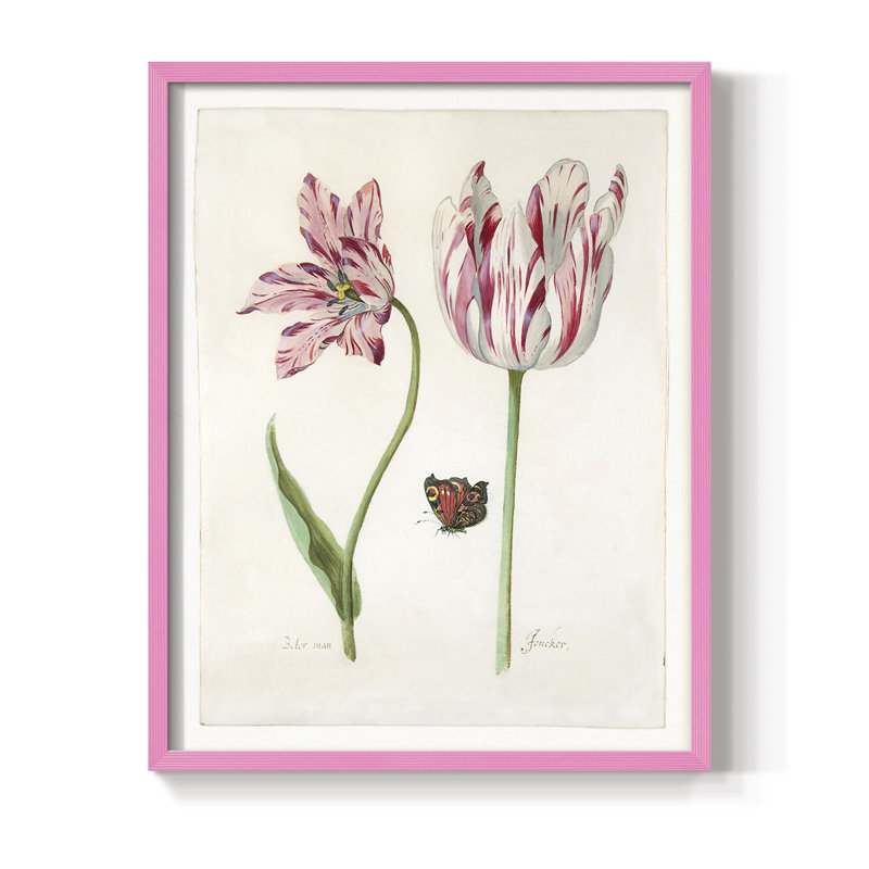 «Two Tulips I», H 15 po x l 12 po, Rose
