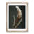 Oak Framed is unavailable