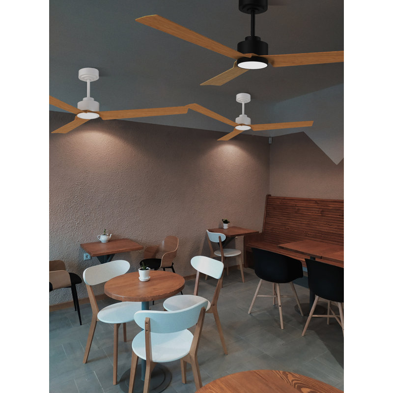 Mangume 127cm Ceiling Fan, Wood, White