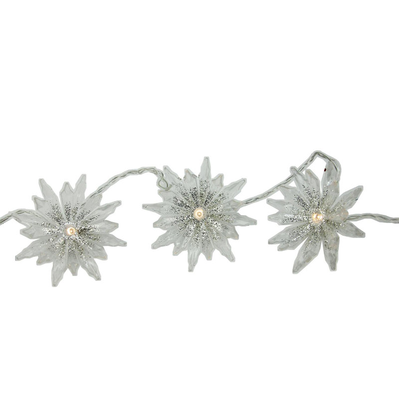 20 lumières de Noël à DEL claires et chaudes à piles avec fil de 14 pi