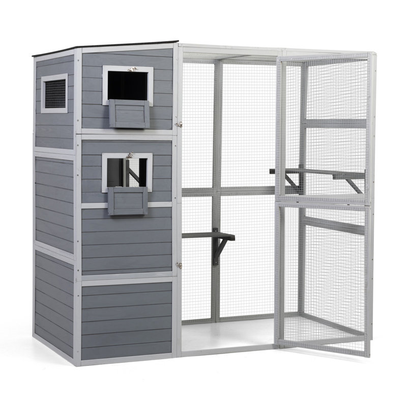 Grande clôture pour chat en bois avec toit et plateformes imperméables, gris