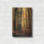 «Wind in the Trees» par Philippe Sainte-Laudy, art mural en métal-1811029738