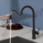 Pull-Down Single Handle Kitchen Faucet-120320303