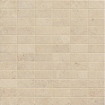 Tribeca 1 in. x 2 in. Porcelain Tile
