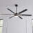 Ceiling Fan with LED Lights-725546163-765204259