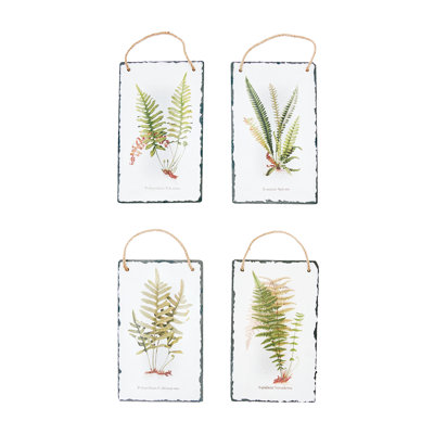 " Fern Slate " 4 - Pieces