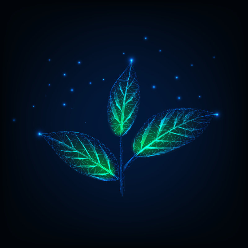 Glowing Plant - Wrapped Canvas Print, 30cm H x 30cm W x 3.8cm D