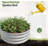 2PCS Round Raised Garedn Bed-29006347