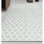 Moroccan Cotton Moroccan Area Rug