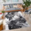 Boisey Abstract Area Rug-1735638155