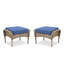 Ensemble de 2 repose-pieds d'extérieur en rotin gris avec coussin bleu pour la cour ou la terrasse-2019736333-2019736370