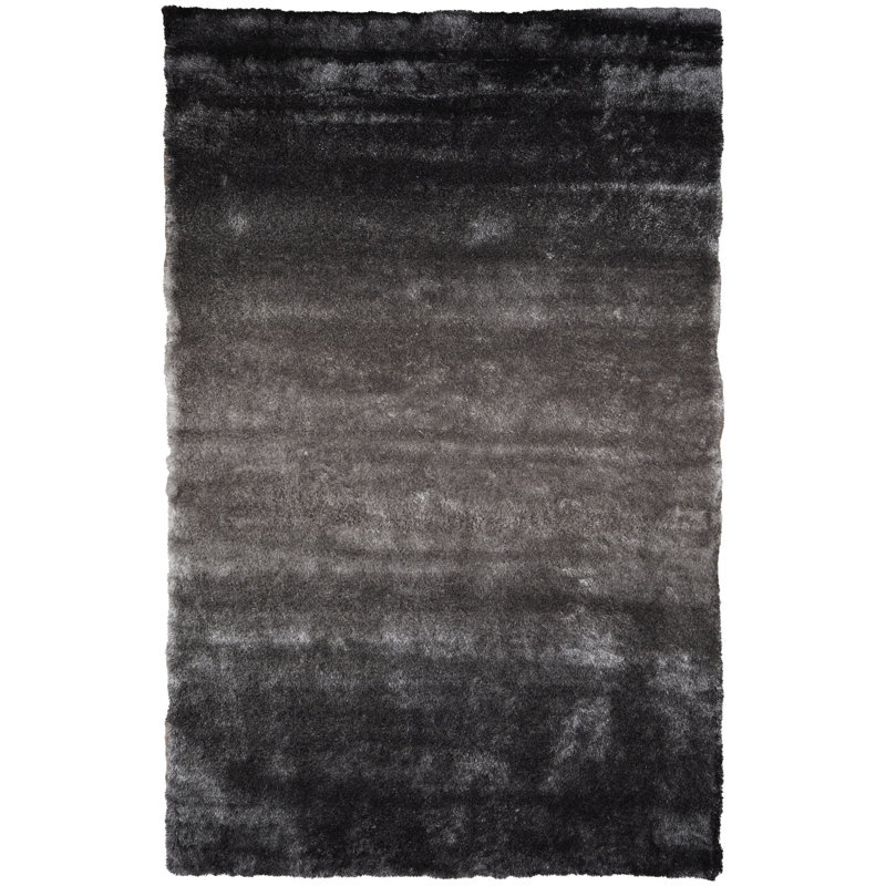 Gasburg Hand Tufted Indoor Rug, Rectangle 2' x 3'4"