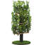 Dinuk 60'' H Cat Tree