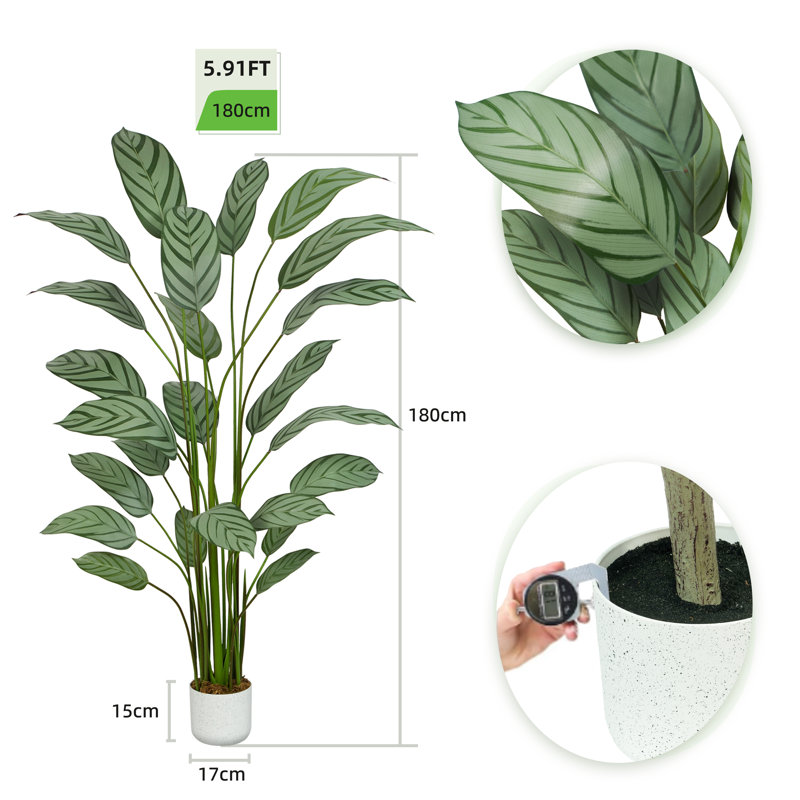 Ankitha Faux Bird of Paradise Plant, 180cm H  x 30cm W  x 30cm D