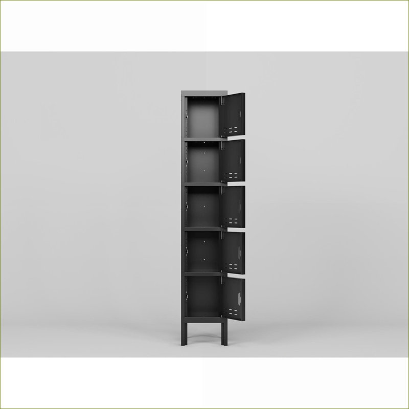 Armoires | Armoire de rangement 5 portes à 5 tablettes | Multi-usage pour l'école de gymnastique à domicile | Acier | Noir