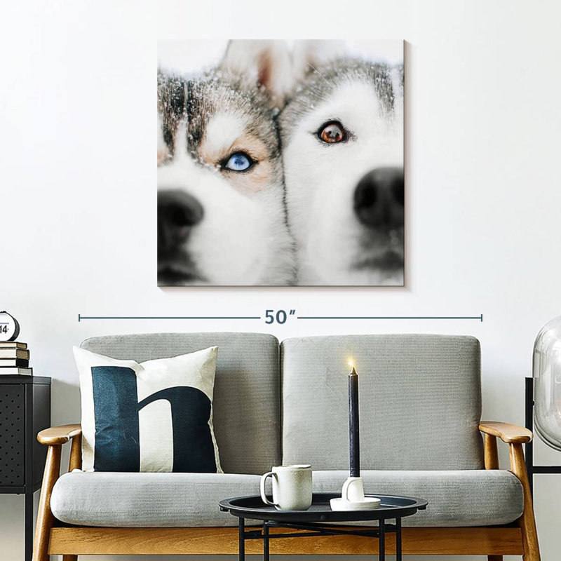 Crowle Husky Faces, 30" H x 30" W