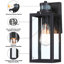 Schlesinger Matte Black 32.1cm H Outdoor Wall Lantern