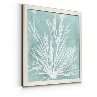 " Seaweed On Aqua IX "