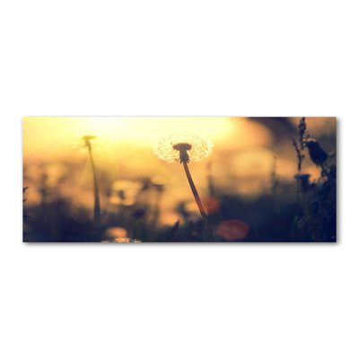 Dandelion - No Frame Print on Glass