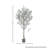 5' UV Potted Tuscan Olive Tree