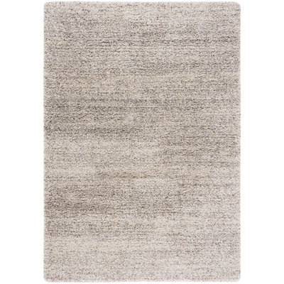 Audriaunna Shag Performance Rug