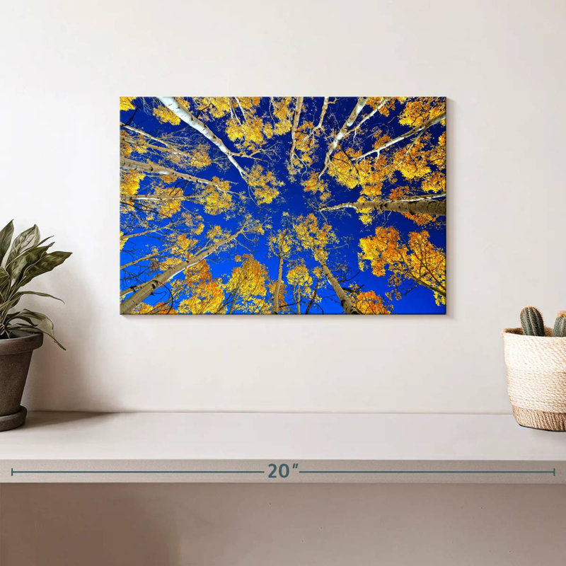 Under The Aspen Trees, 8" H x 12" W