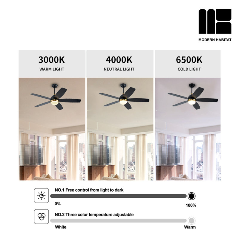 Ventilateur de plafond avec lumières DEL Refton Whisper Bloom, Noir mat, Noir mat