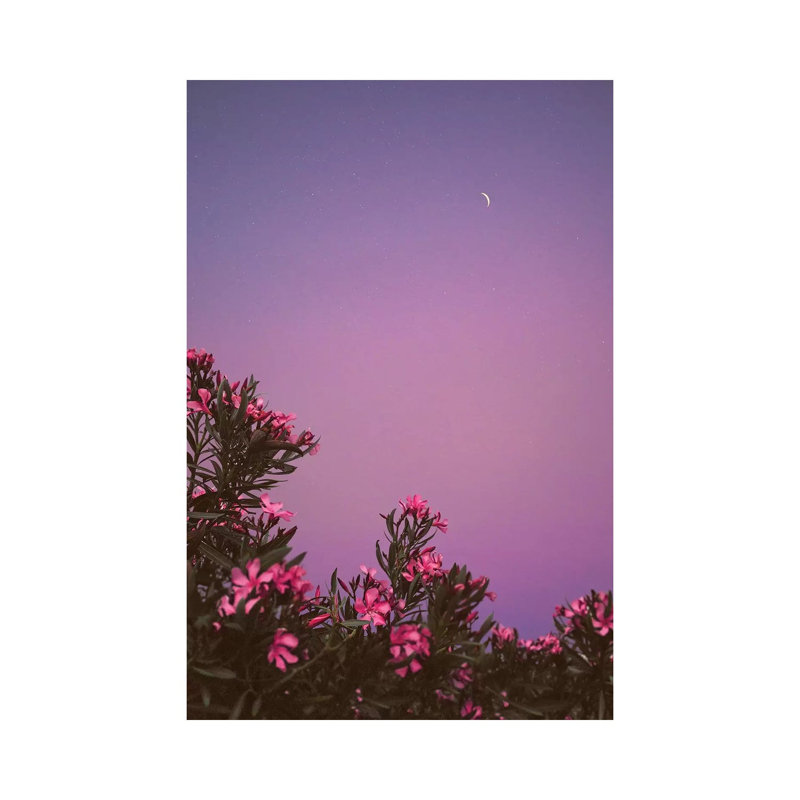 Hanging Gardens by Nirs Photography - Wrapped Canvas Print, 66.04 cm H x 45.72 cm W x 1.91 cm D